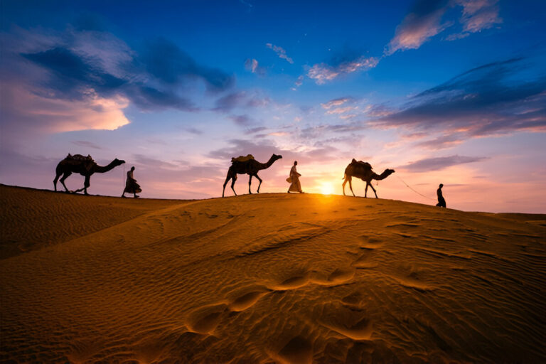 Camel caravan crossing the Sahara Desert in Morocco