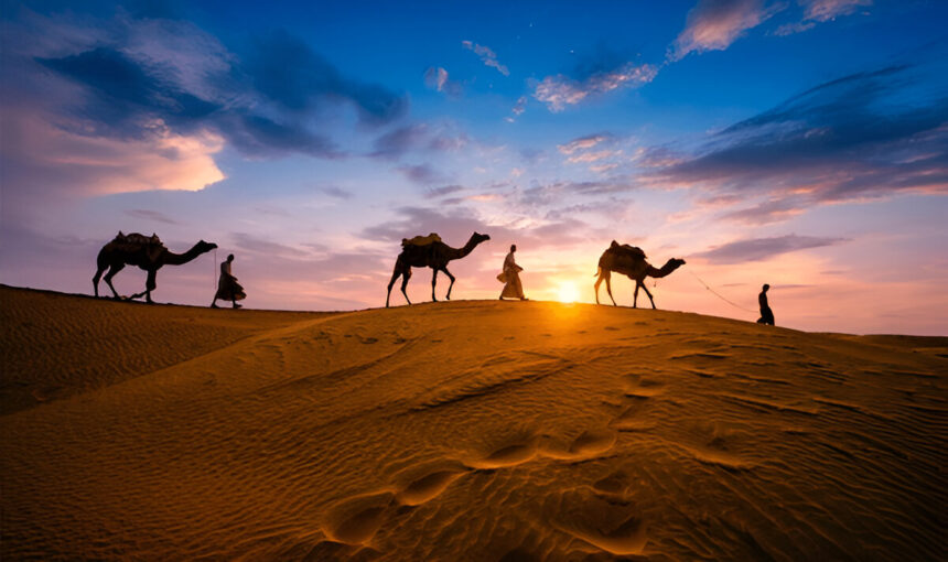 Marrakech to the Sahara Desert: Camel Trek, Sand Dunes.