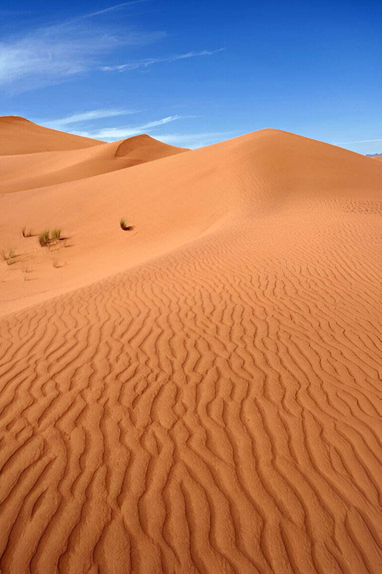 Camel caravan in the Zagora desert on a two day Sahara tour