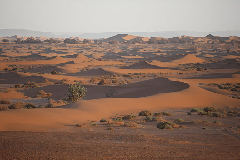 Chegaga sahara desert camp
