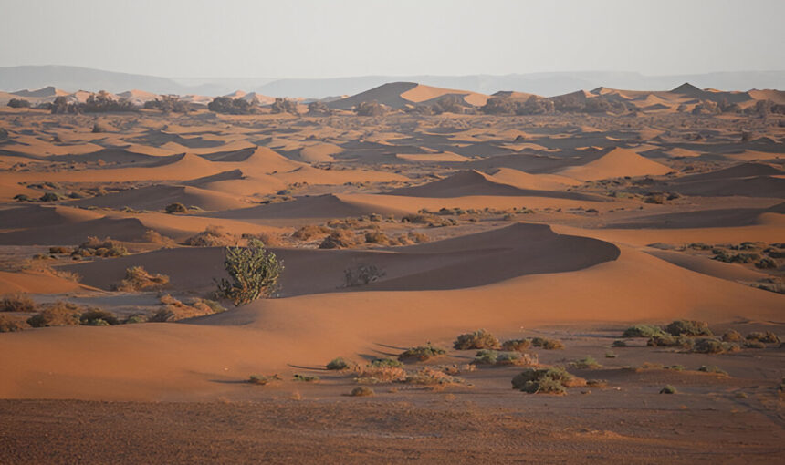 Marrakech to Chegaga Desert: The Ultimate 4-Night Adventure