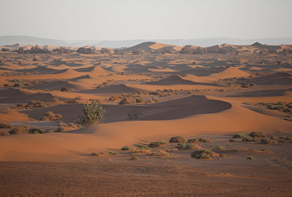Chegaga sahara desert camp
