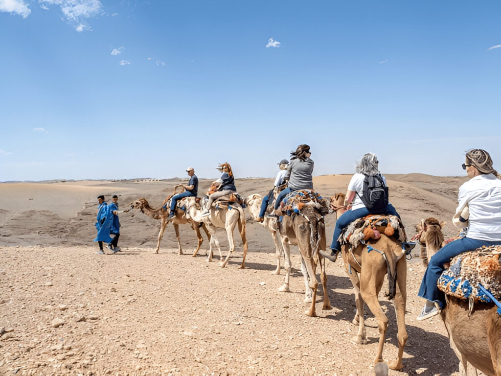 Camel ride in agafay desert 