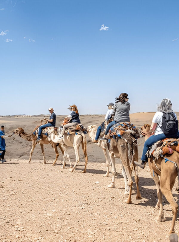 Camel ride in the Agafay Desert, Morocco