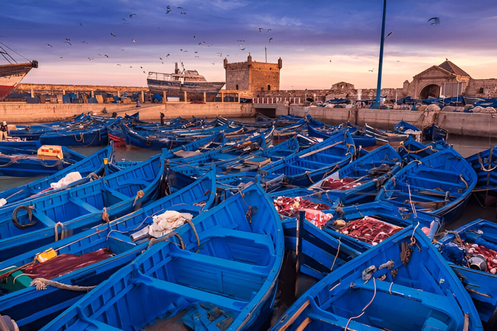 Essaouira day trip from Marrakech