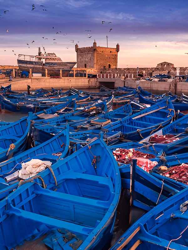 Essaouira Coast