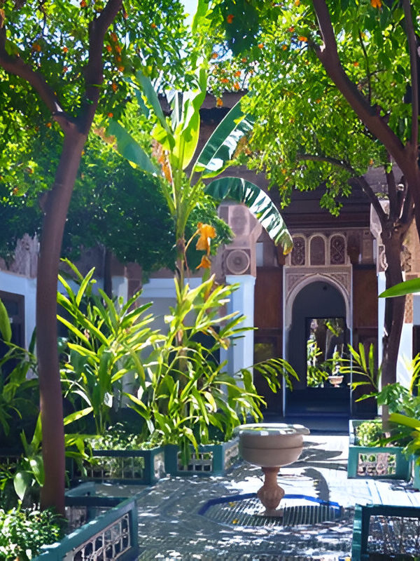 Bahia Palace garden, Morocco