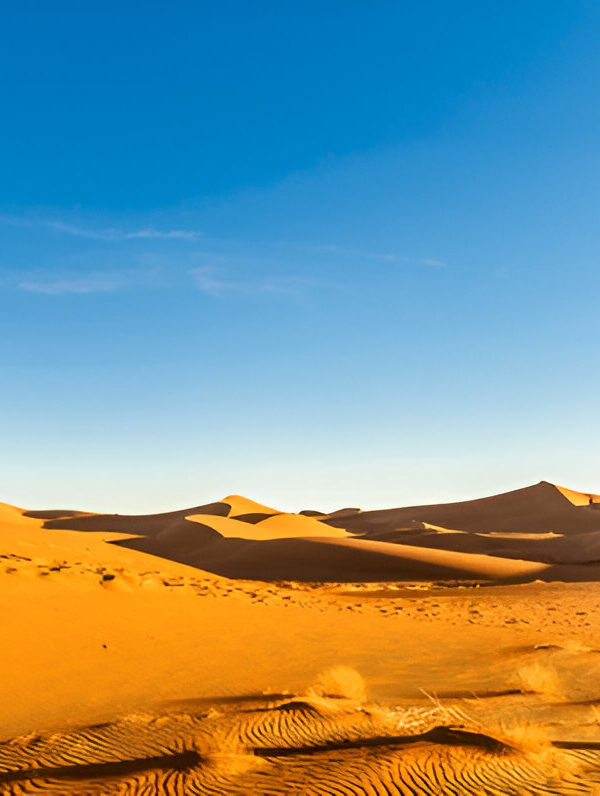 Golden Dunes of Morocco Sahara Desert