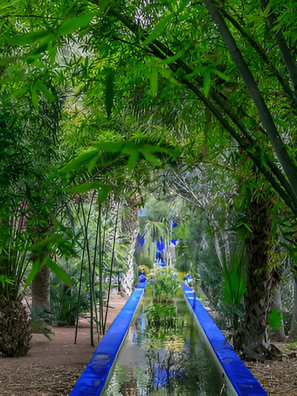 Jardin Majorelle, Morocco