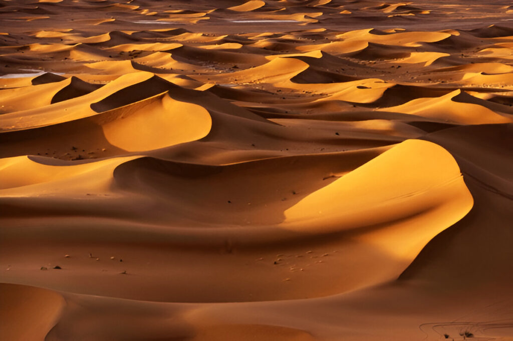 Chegaga Sahara desert