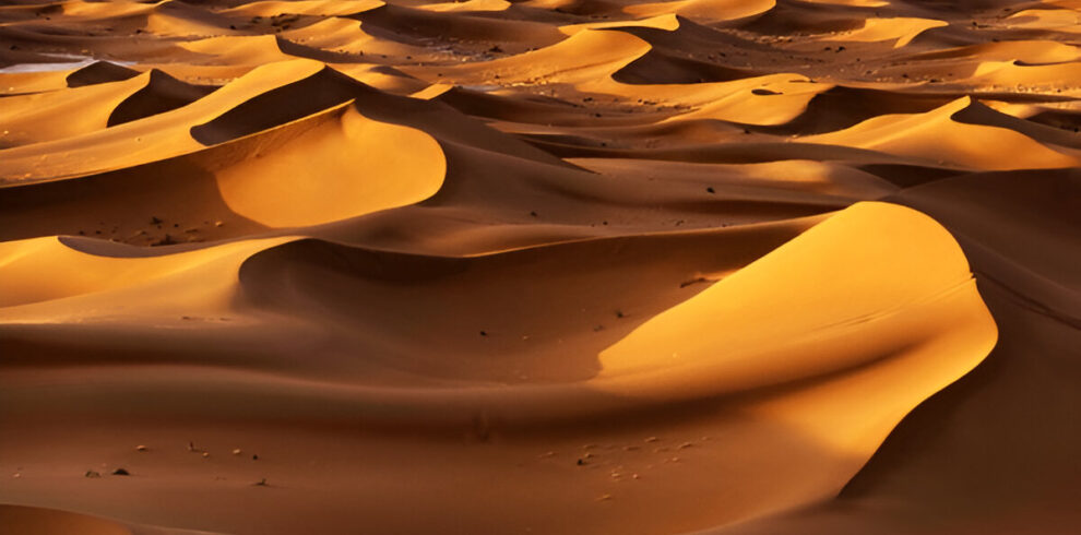 Chegaga Sahara desert