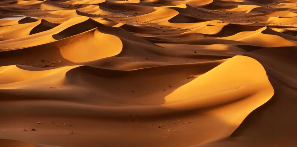 Chegaga Sahara desert