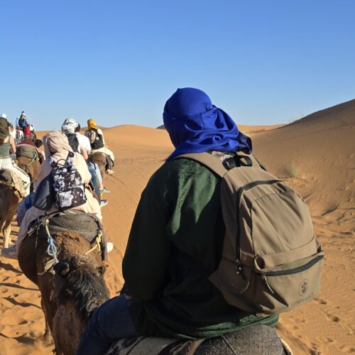 Camel trek crossing the dunes at Merzouga, Morocco