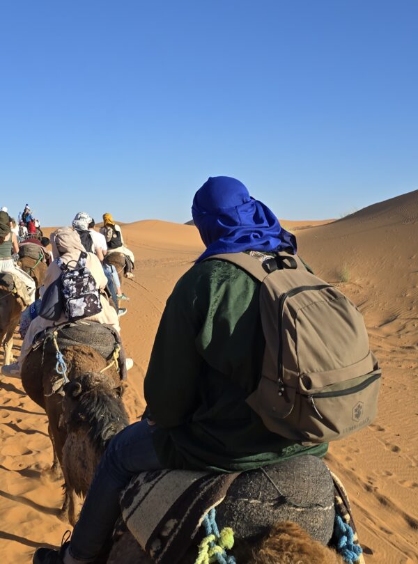 Camel trek crossing the dunes at Merzouga, Morocco