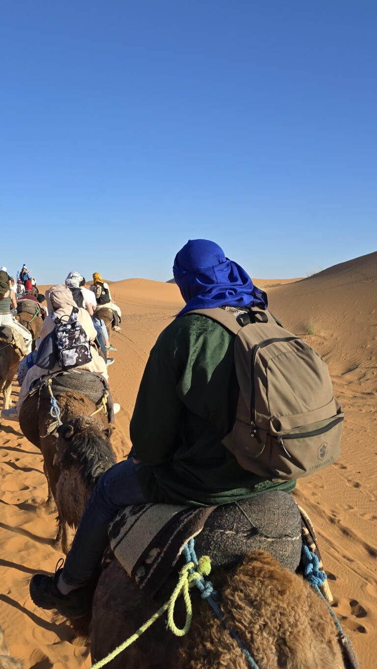 Camel trek crossing the dunes at Merzouga, Morocco