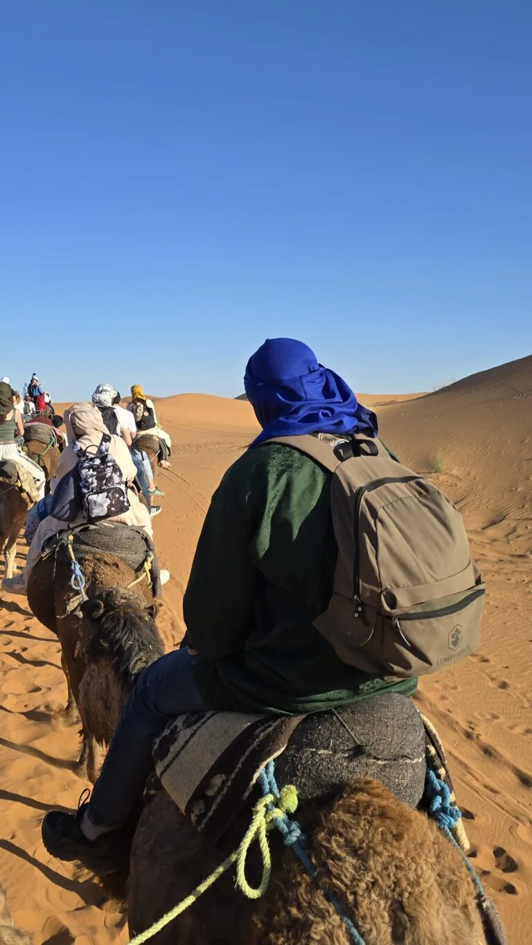 Camel trek crossing the dunes at Merzouga, Morocco