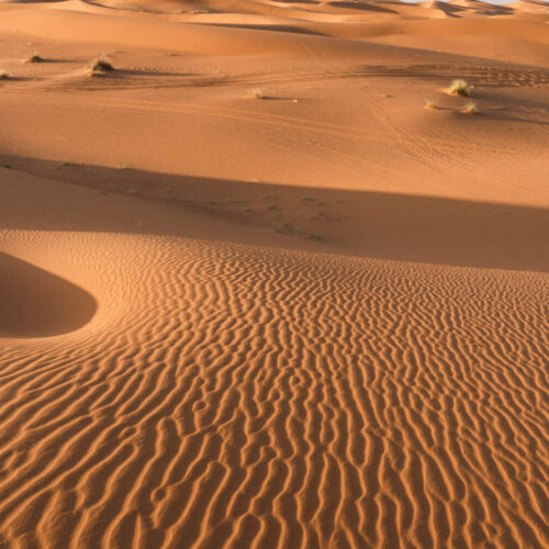Golden sand dunes of the Merzouga Sahara at sunrise, Morocco