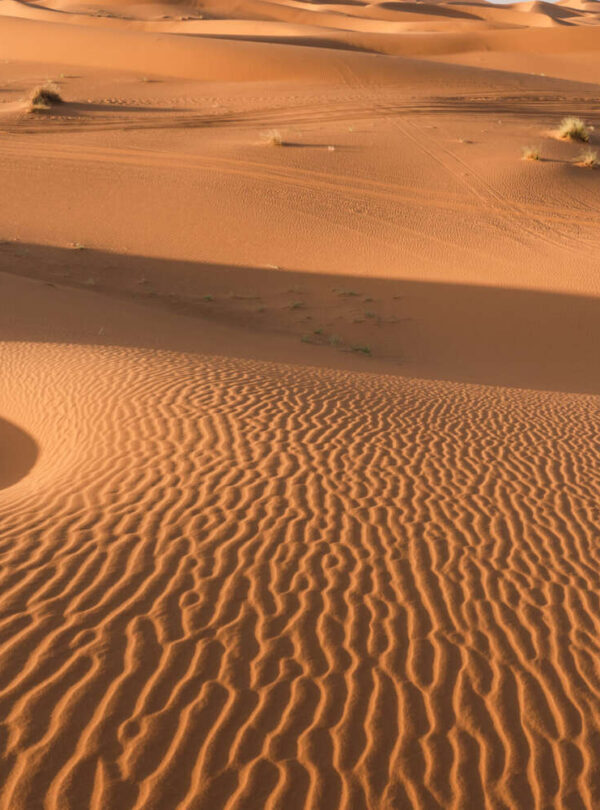 Golden sand dunes of the Merzouga Sahara at sunrise, Morocco