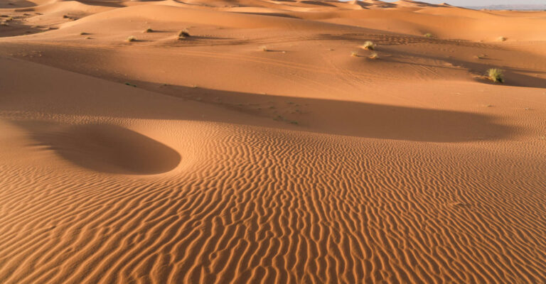 Golden sand dunes of the Merzouga Sahara at sunrise, Morocco