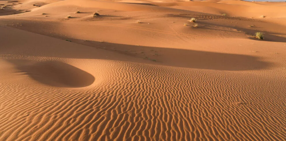 Golden sand dunes of the Merzouga Sahara at sunrise, Morocco